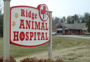 For many years the Ridge Animal Hospital has been caring for pets, both large and small, in the Farmville community.