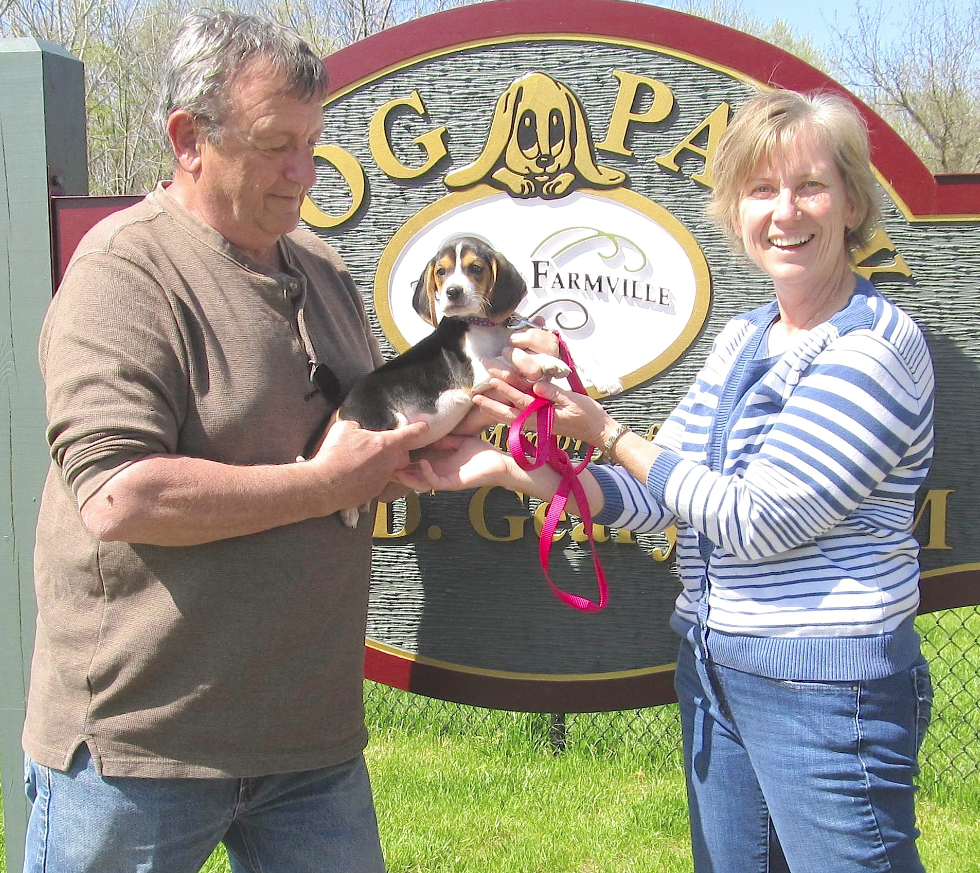 When Farmville went to the dogs Farmville Farmville