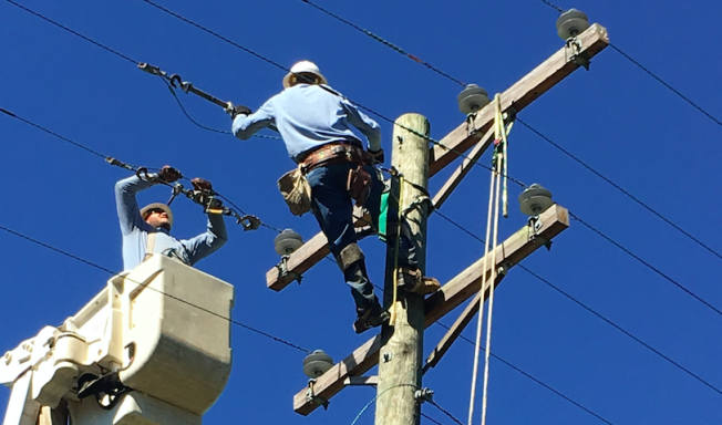 Southside Electric Cooperative electric cooperatives