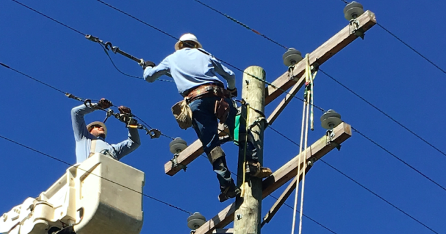 Southside Electric Cooperative electric cooperatives