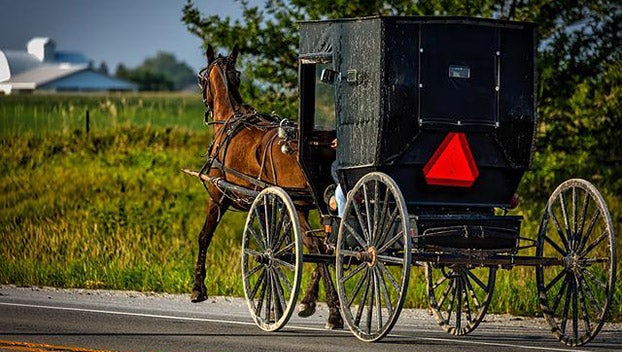 Amish traffic